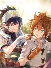 日本一级不卡一二区